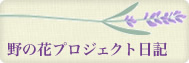 野の花プロジェクト日記